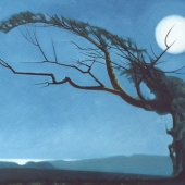 hawthorn moon.  º