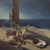 the starflotsam